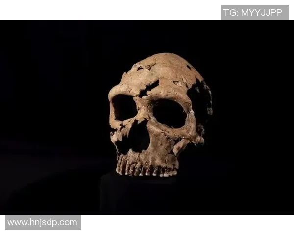 探索奥蓬达的魅力与历史揭示其在现代文化中的独特地位与影响力